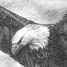 Pencil Drawings