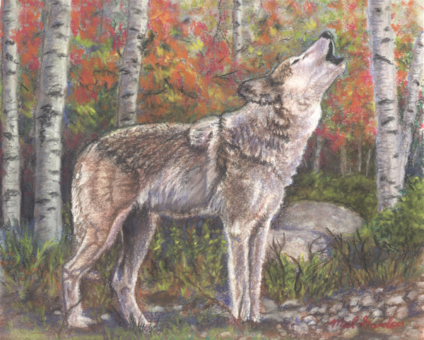 Wolf art done in chalk pastel on paper.